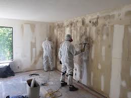 Best Emergency Mold Remediation  in Gra Forks, ND